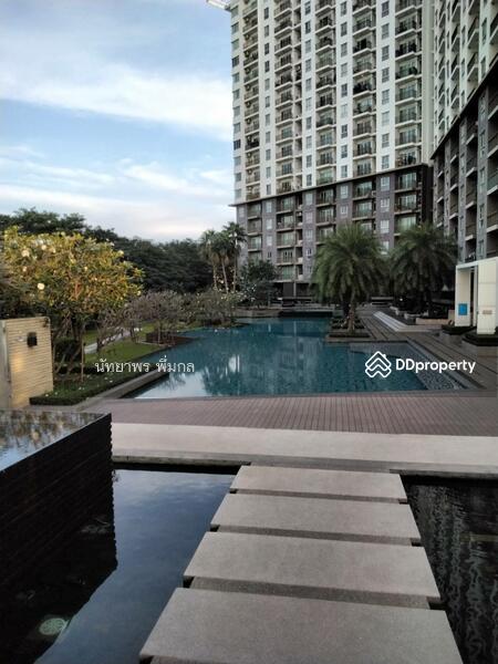 The Parkland Srinakarin Lakeside : เดอะ พาร์คแลนด์ ศรีนครินทร์ เลคไซด์, สมุทรปราการ, 555 ถ. ลาซาล, บางแก้ว, บางพลี, สมุทรปราการ, 36 ตร.ม., คอนโด ให้เช่า, โดย นัทยาพร พึ่มกุล (เบนซ์), 10790495 - DDproperty.com