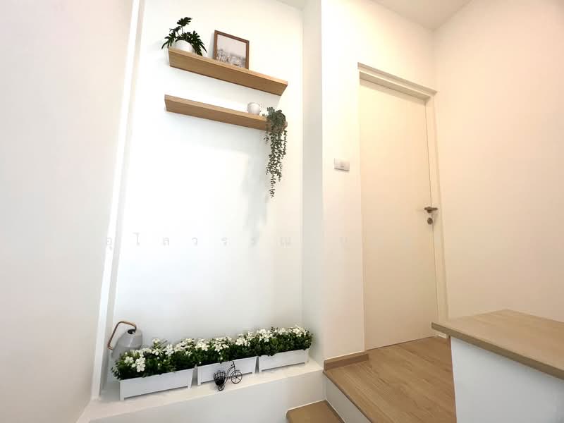 Indy 2 Bangna-Ramkhamhaeng 2, Bangkok, Soi Ramkhamhaeng 2, Dok Mai, Prawet, Bangkok, 2 Bedrooms, 120 sqm, Townhouse For Rent, by Ulaiwan Boonsiri, 10790651 - DDproperty.com