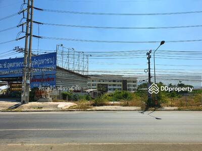 ขาย - ขายที่ดิน 7 ไร่ ติดถนนนเลี่ยงเมืองชลบุรีตัดถนน344, ชลบุรี