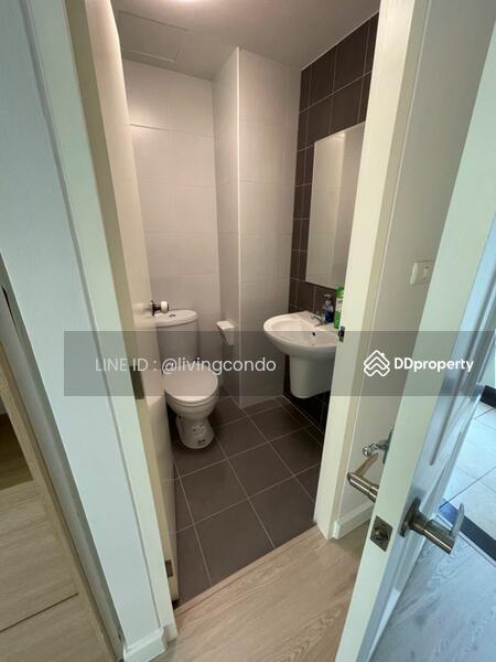My Condo Sukhumvit 81, Bangkok, Soi Sukhumvit 81 Sukhumvit Road, Bang Chak, Phra Khanong, Bangkok, 1 Bedroom, 35 sqm, Condo For Sale, by LINE ID : @livingcondo, 10793218 - DDproperty.com