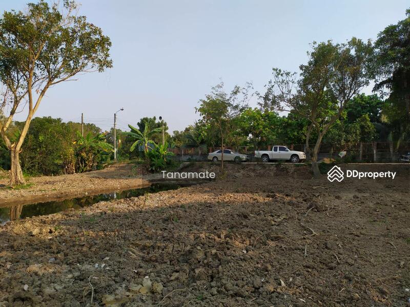 ขาย - ที่ดิน 1 ไร่ ต.ไทรม้า อ.เมือง จ.นนทบุรี, นนทบุรี