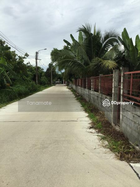 ขาย - ที่ดิน 1 ไร่ ต.ไทรม้า อ.เมือง จ.นนทบุรี, นนทบุรี