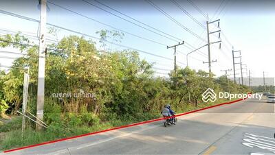 ขาย - ที่ดิน บ้านแพ้ว สมุทรสาคร, สมุทรสาคร