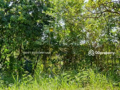 ขาย - ที่ดิน สัตหีบ ชลบุรี, ชลบุรี