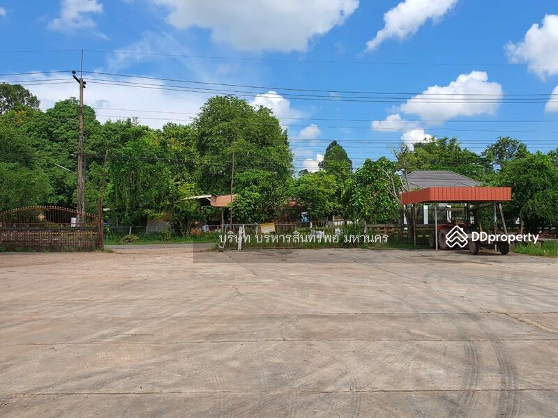 ขาย - 48170, นครพนม