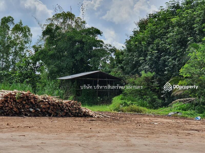 ขาย - 48170, นครพนม