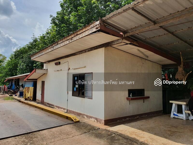 ขาย - 48170, นครพนม