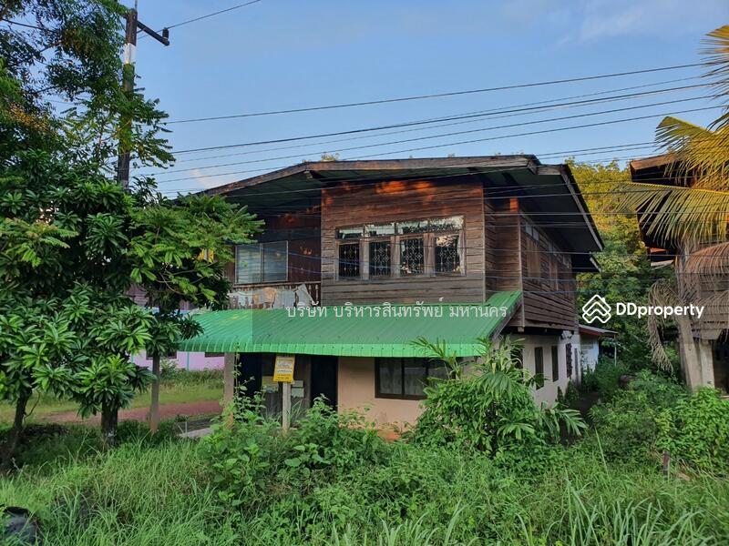 For Sale - Single house in Sriwilai, Boungkan 2-2-52 Rai, Bueng Kan