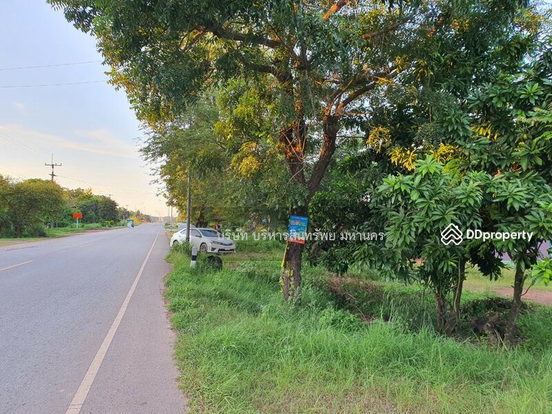For Sale - Single house in Sriwilai, Boungkan 2-2-52 Rai, Bueng Kan