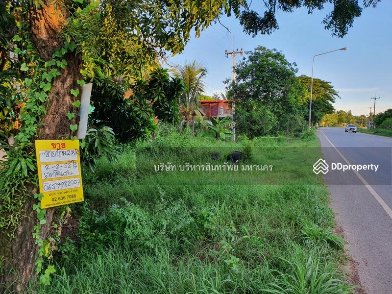 For Sale - Single house in Sriwilai, Boungkan 2-2-52 Rai, Bueng Kan