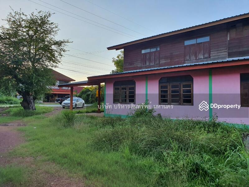For Sale - Single house in Sriwilai, Boungkan 2-2-52 Rai, Bueng Kan