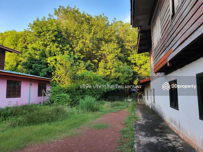 For Sale - Single house in Sriwilai, Boungkan 2-2-52 Rai, Bueng Kan