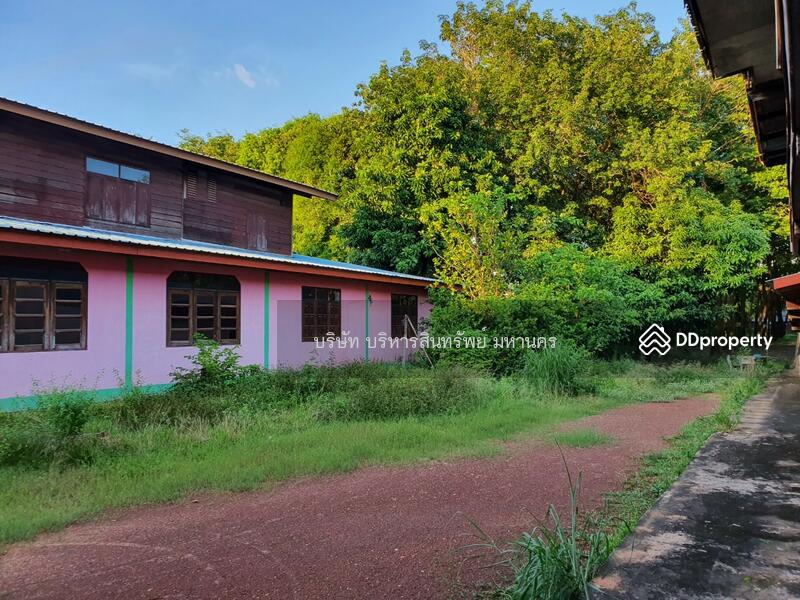For Sale - Single house in Sriwilai, Boungkan 2-2-52 Rai, Bueng Kan