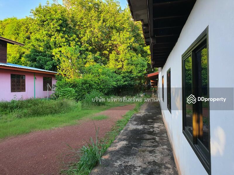 For Sale - Single house in Sriwilai, Boungkan 2-2-52 Rai, Bueng Kan