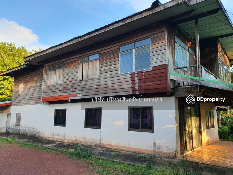 For Sale - Single house in Sriwilai, Boungkan 2-2-52 Rai, Bueng Kan