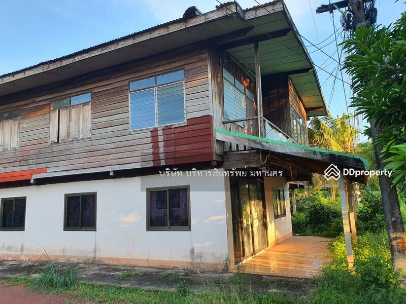 For Sale - Single house in Sriwilai, Boungkan 2-2-52 Rai, Bueng Kan