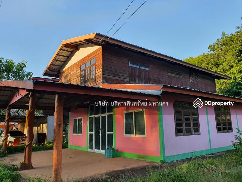For Sale - Single house in Sriwilai, Boungkan 2-2-52 Rai, Bueng Kan