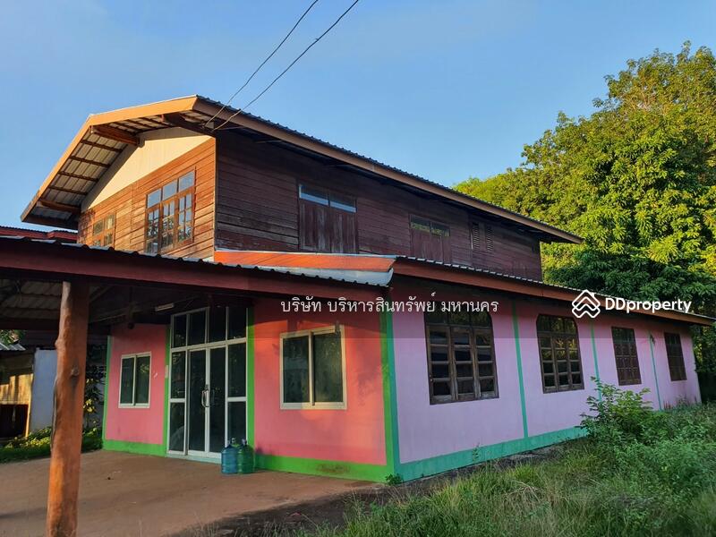 For Sale - Single house in Sriwilai, Boungkan 2-2-52 Rai, Bueng Kan