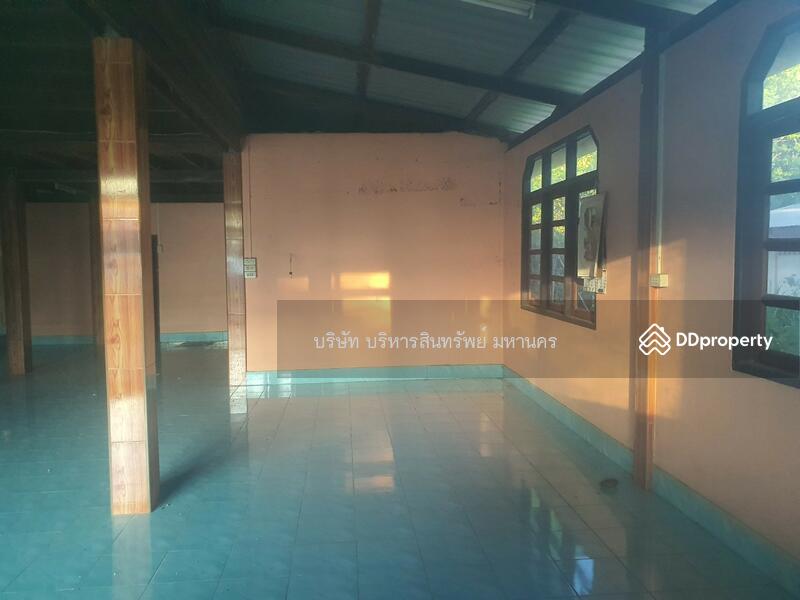 For Sale - Single house in Sriwilai, Boungkan 2-2-52 Rai, Bueng Kan