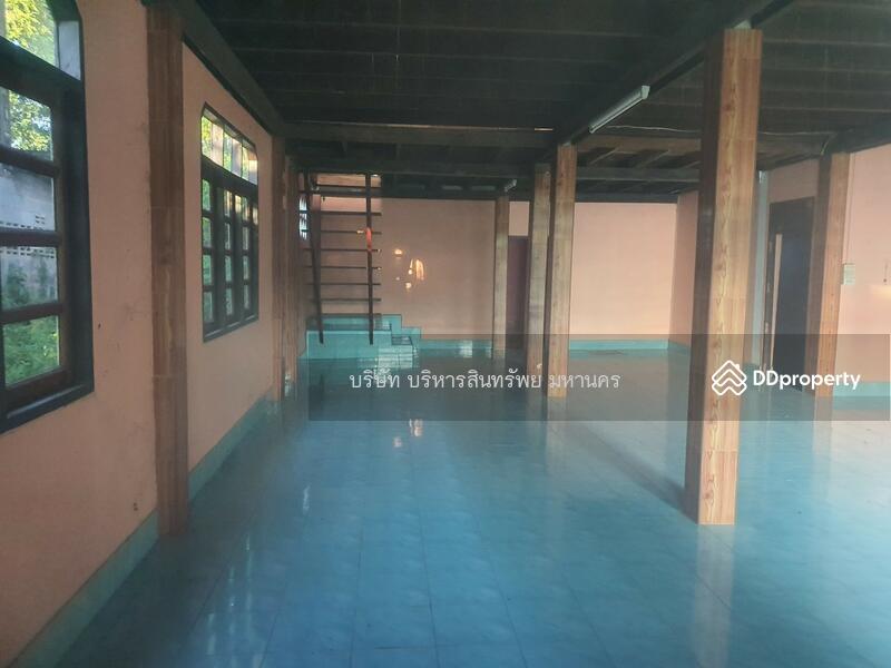 For Sale - Single house in Sriwilai, Boungkan 2-2-52 Rai, Bueng Kan