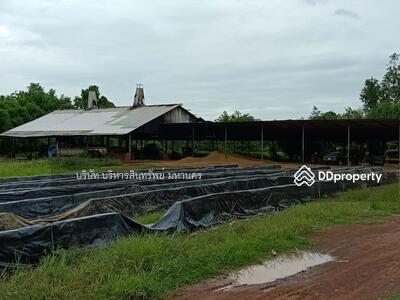 ขาย - 43110, หนองคาย