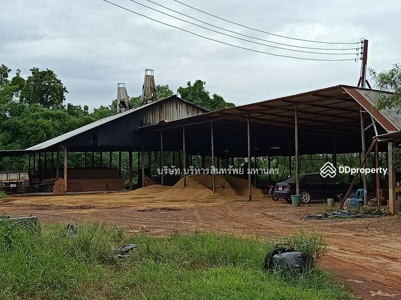 ขาย - 43110, หนองคาย