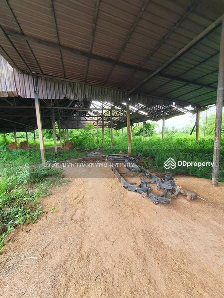 ขาย - 43110, หนองคาย