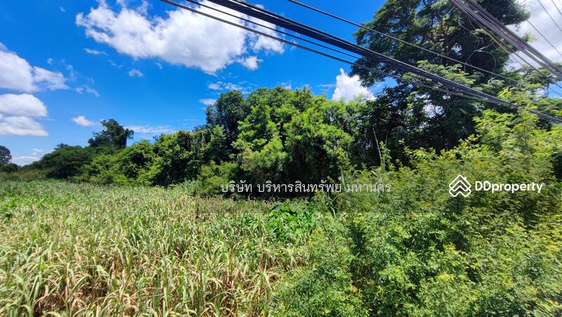 For Sale - Land Taphan Hin Phichit, Phichit