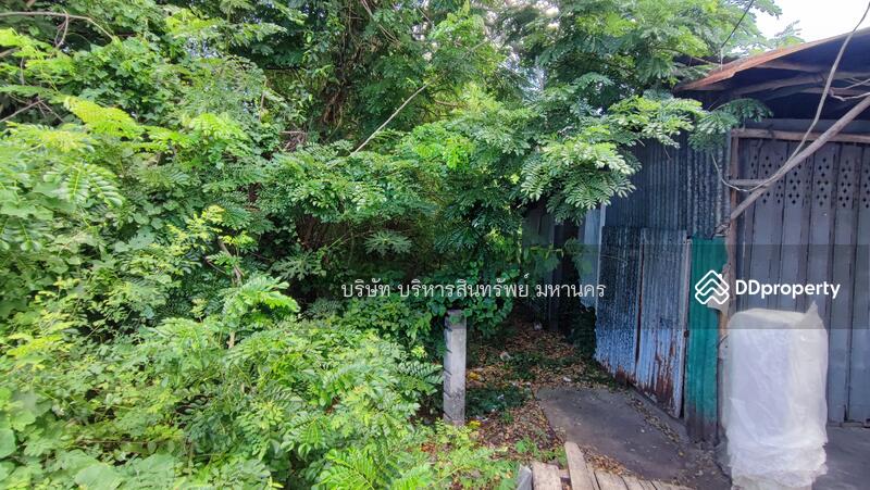 For Sale - Land Taphan Hin Phichit, Phichit