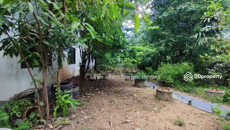 For Sale - Land Taphan Hin Phichit, Phichit