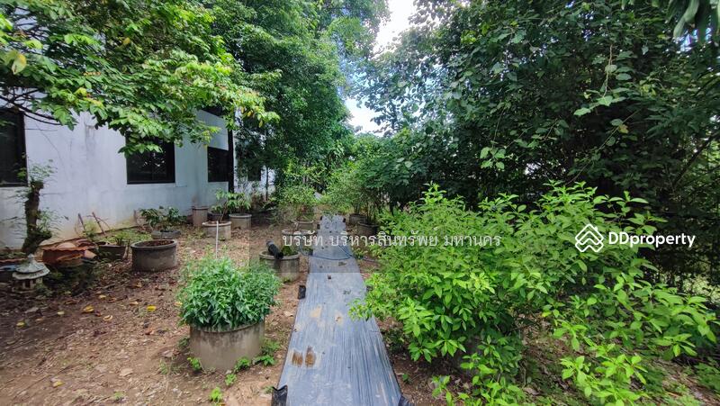 For Sale - Land Taphan Hin Phichit, Phichit