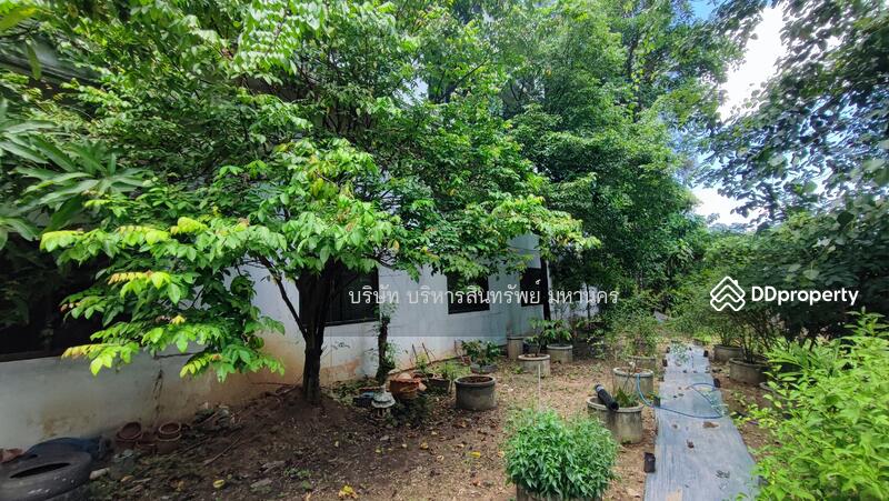 For Sale - Land Taphan Hin Phichit, Phichit