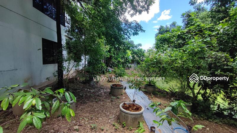 For Sale - Land Taphan Hin Phichit, Phichit