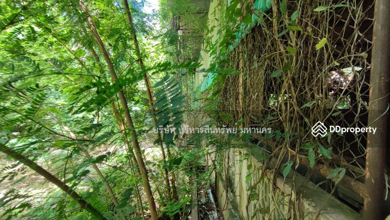 For Sale - Land Taphan Hin Phichit, Phichit