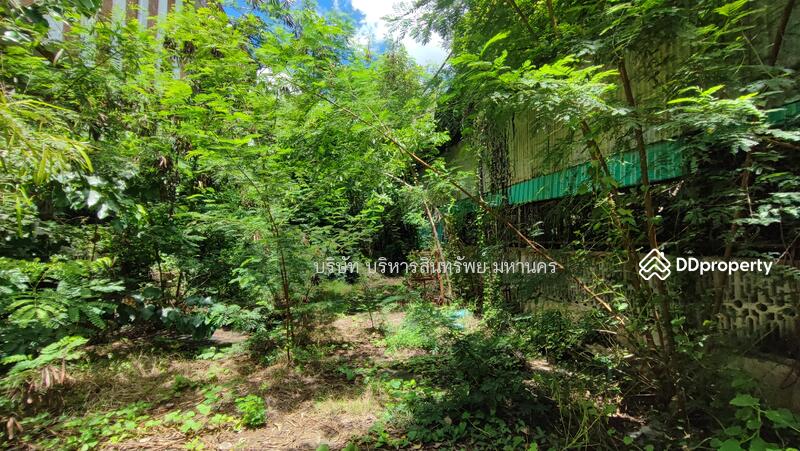 For Sale - Land Taphan Hin Phichit, Phichit