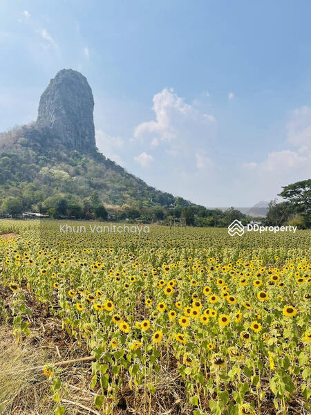 ขาย - ที่ดินโฉนด 12 ไร่พร้อมสิ่งปลูกสร้าง ติดอ่างเก็บนำ้ซับเหล็ก ลพบุรี สาธารณูปโภคนำ้ ไฟฟ้า ทางเข้า ครบ, ลพบุรี