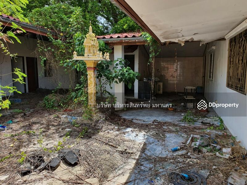 30310, นครราชสีมา, จอหอ, เมืองนครราชสีมา, นครราชสีมา, 73 ตร.ม., B SALE