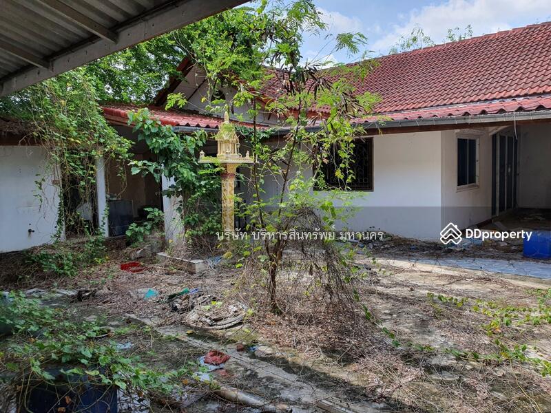 30310, นครราชสีมา, จอหอ, เมืองนครราชสีมา, นครราชสีมา, 73 ตร.ม., B SALE