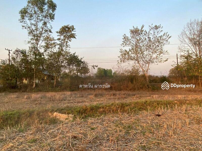Land For Sale, Nong Khai, Khai Bok Wan, Muang Nong Khai, Nong Khai, , 33,600 sqm, Land For Sale, by Dawan Pharanat, 10803888 - DDproperty.com