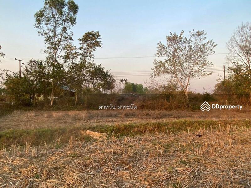 ที่ดินหนองคาย, หนองคาย, ค่ายบกหวาน, เมืองหนองคาย, หนองคาย, 33,600 ตร.ม., ที่ดิน ขาย, โดย ดาหวัน ผาระนัด, 10803888 - DDproperty.com
