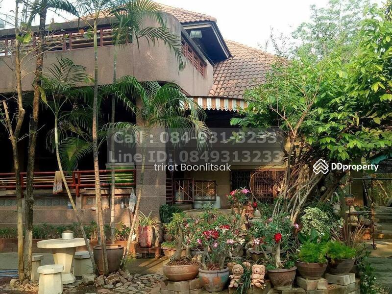 ขายที่ดิน 6-3-66.7 ไร่ พร้อมบ้านเล่นระดับ และ ไม้มะค่าในที่ดิน ท่าม่วง กาญจนบุรี, กาญจนบุรี, ทุ่งทอง, ท่าม่วง, กาญจนบุรี, 13,467 ตร.ม., ที่ดิน ขาย, โดย Trirat Boonlitsak, 10805497 - DDproperty.com