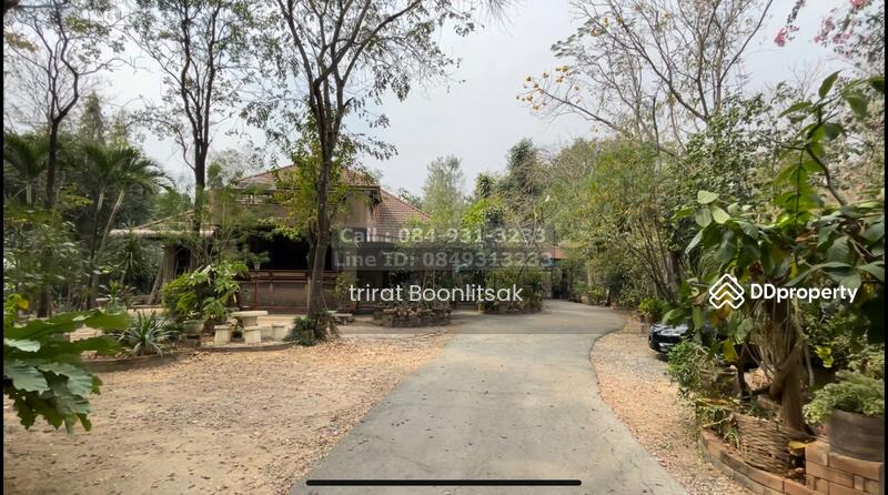 ขายที่ดิน 6-3-66.7 ไร่ พร้อมบ้านเล่นระดับ และ ไม้มะค่าในที่ดิน ท่าม่วง กาญจนบุรี, กาญจนบุรี, ทุ่งทอง, ท่าม่วง, กาญจนบุรี, 13,467 ตร.ม., ที่ดิน ขาย, โดย Trirat Boonlitsak, 10805497 - DDproperty.com