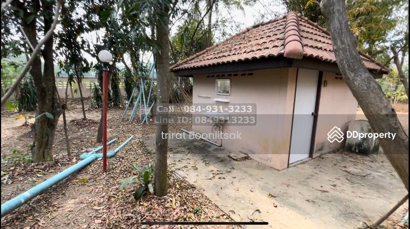 Land for sale with a Steps- house, size 6-3-66.7 rai, Kanchanaburi, Thung Thong, Tha Muang, Kanchanaburi, , 13,467 sqm, Land For Sale, by Trirat Boonlitsak, 10805497 - DDproperty.com