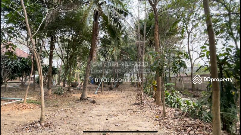 Land for sale with a Steps- house, size 6-3-66.7 rai, Kanchanaburi, Thung Thong, Tha Muang, Kanchanaburi, , 13,467 sqm, Land For Sale, by Trirat Boonlitsak, 10805497 - DDproperty.com
