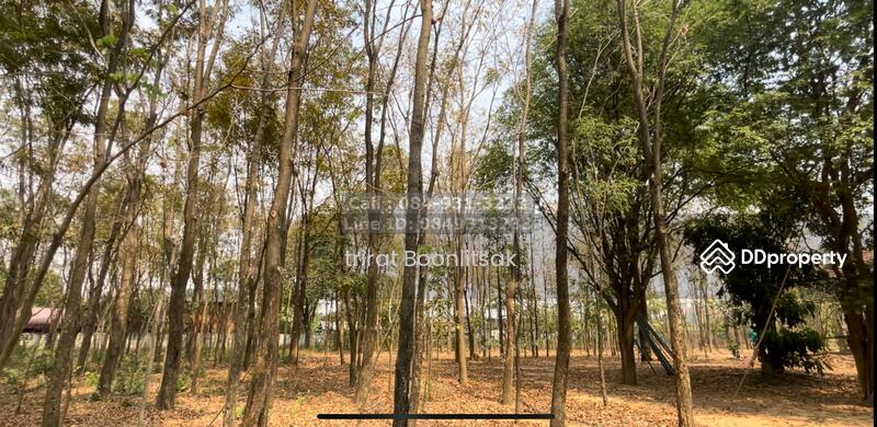 Land for sale with a Steps- house, size 6-3-66.7 rai, Kanchanaburi, Thung Thong, Tha Muang, Kanchanaburi, , 13,467 sqm, Land For Sale, by Trirat Boonlitsak, 10805497 - DDproperty.com