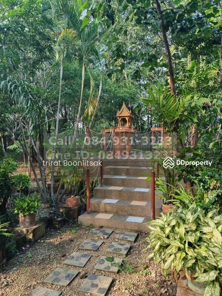 ขายที่ดิน 6-3-66.7 ไร่ พร้อมบ้านเล่นระดับ และ ไม้มะค่าในที่ดิน ท่าม่วง กาญจนบุรี, กาญจนบุรี, ทุ่งทอง, ท่าม่วง, กาญจนบุรี, 13,467 ตร.ม., ที่ดิน ขาย, โดย Trirat Boonlitsak, 10805497 - DDproperty.com