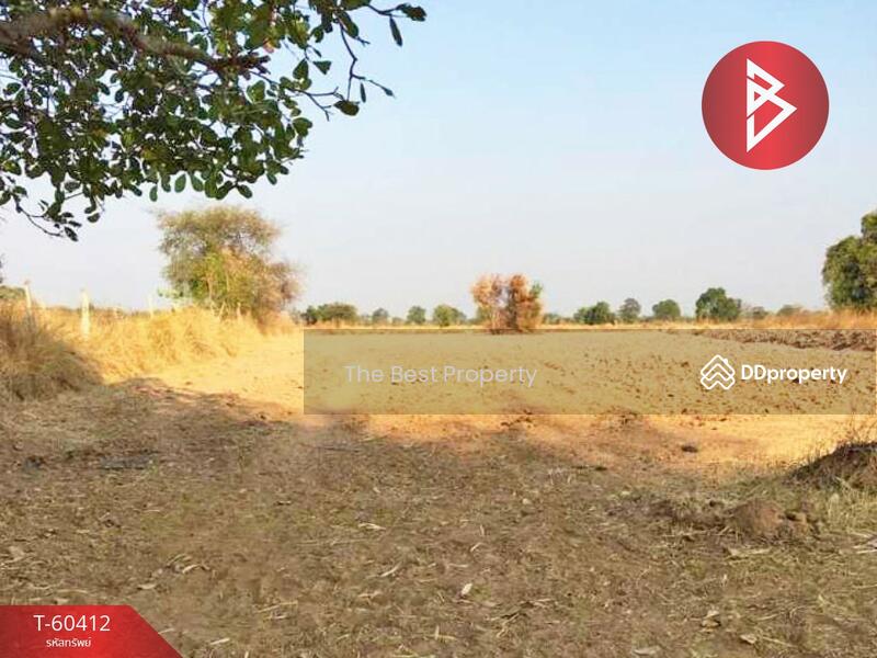 ที่ดินพล ขอนแก่น, Khon Kaen, Khok Sanga, Phon, Khon Kaen, , , L SALE