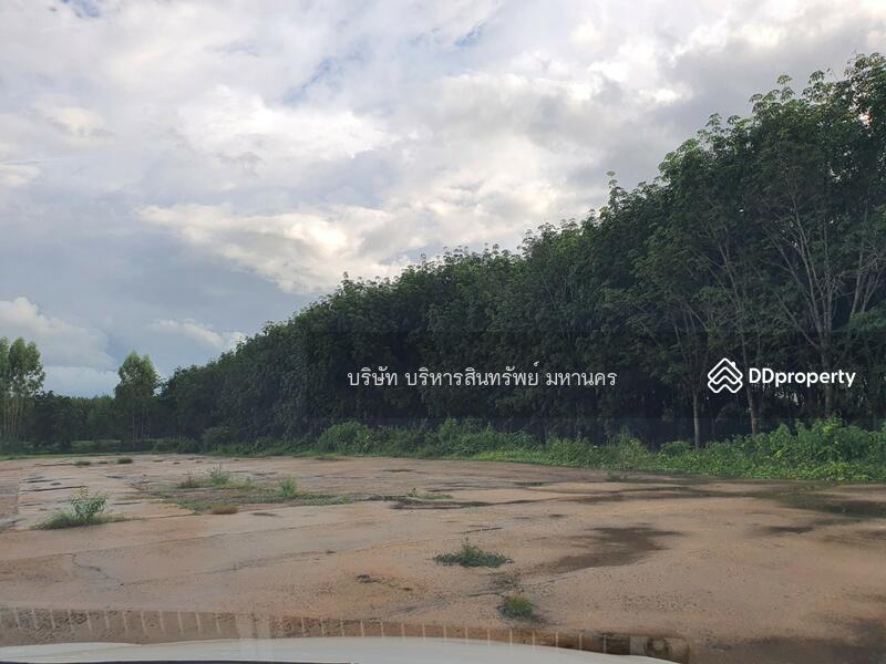 ขาย - 34260, อุบลราชธานี