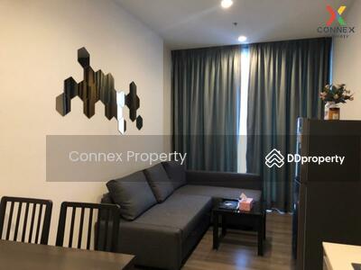 ขาย - Whizdom Essence : วิสซ์ดอม เอสเซ้นส์, กรุงเทพ