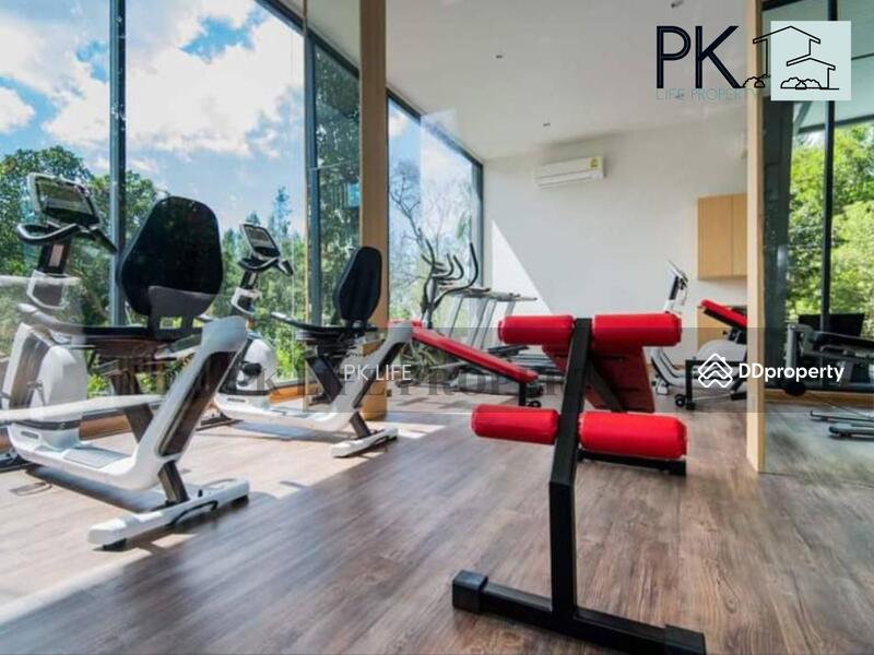 Hill Myna Condotel, Phuket, 1 M. 5 Srisunthorn Road, Choeng Thale, Thalang, Phuket, 1 Bedroom, 35 sqm, Condo For Rent, by PK LIFE Property, 10809929 - DDproperty.com